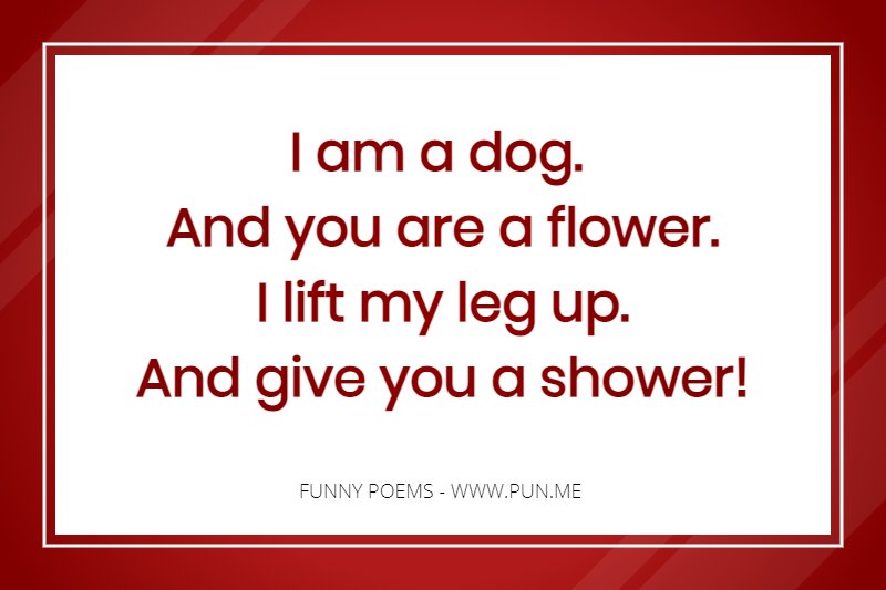 Funny poem about a dog