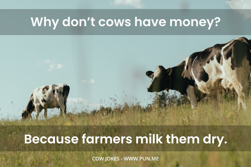 Funny joke about cows money and farmers
