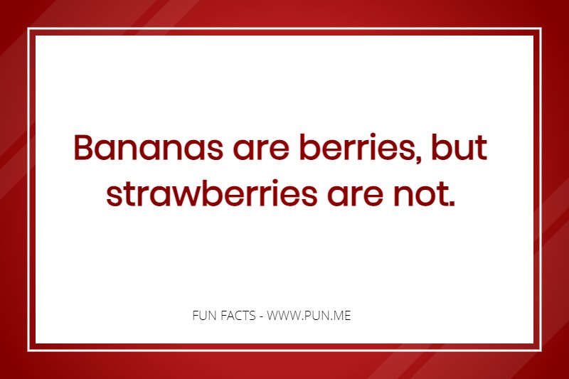 Fun Fact - Bananas are berries but strawberries are not