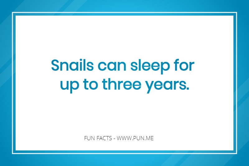 Fun Fact - Snails can sleep for up to three years.