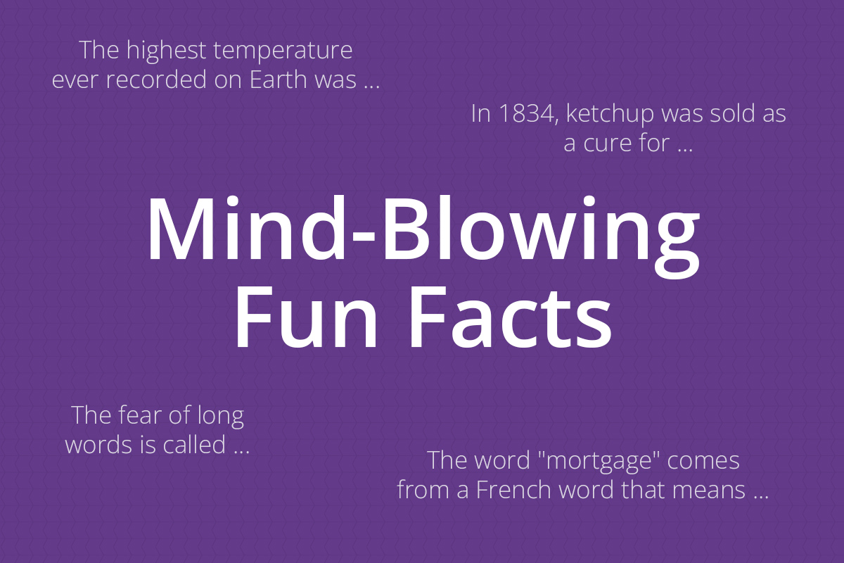 interesting facts words