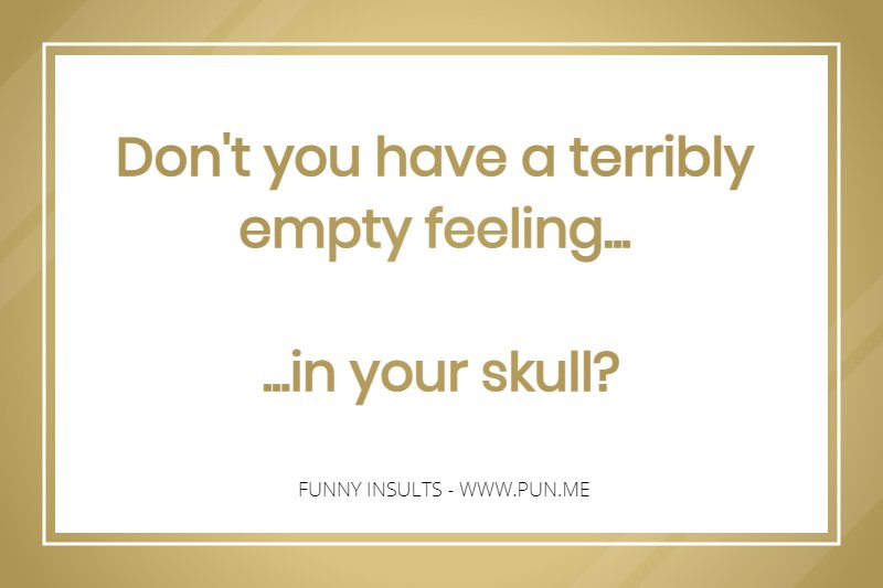 Hilarious insult about having a empty skull..
