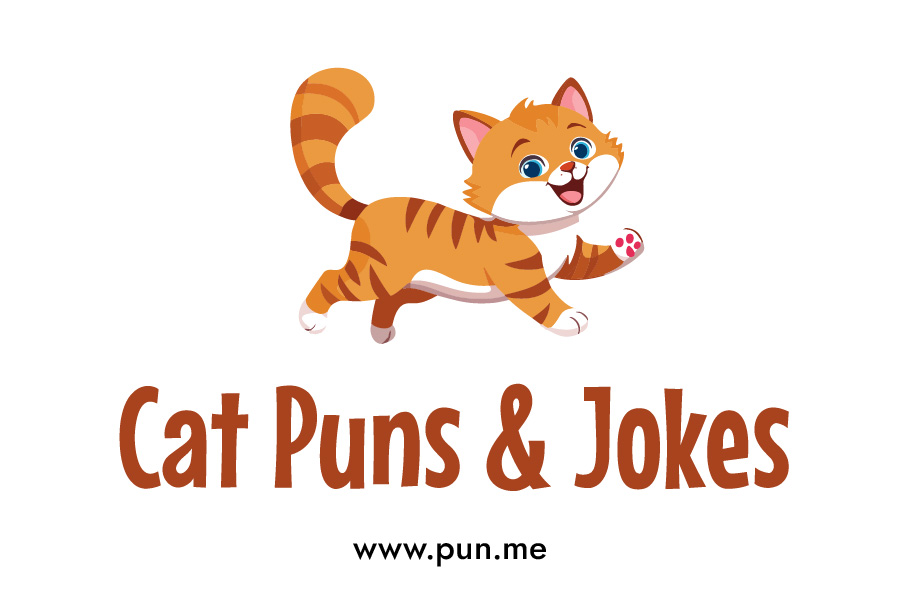 List of Cat Puns & Jokes