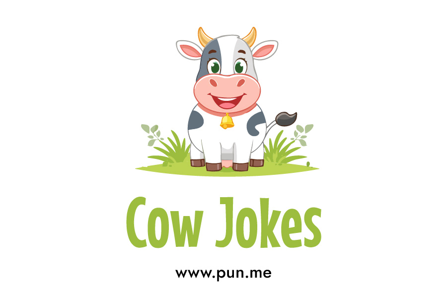 60 Udderly Hilarious Cow Jokes & Puns