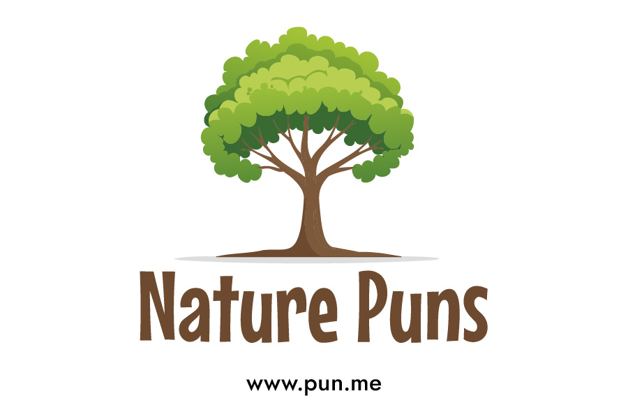 Nature Related Puns