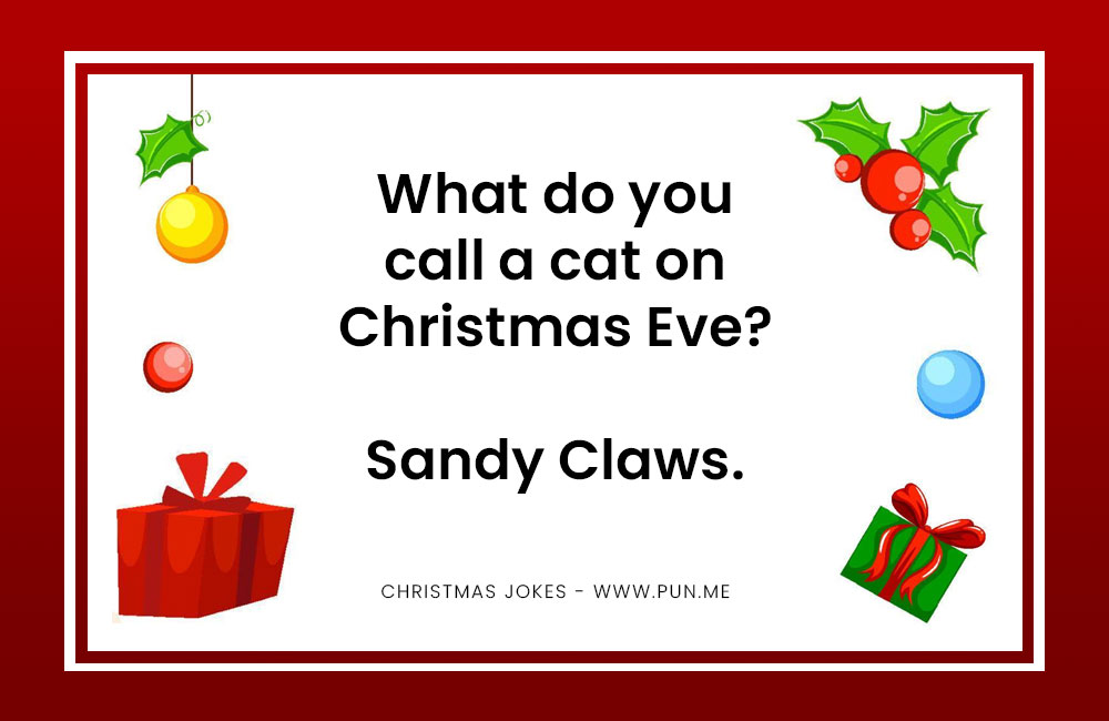 Christmas joke about a cat