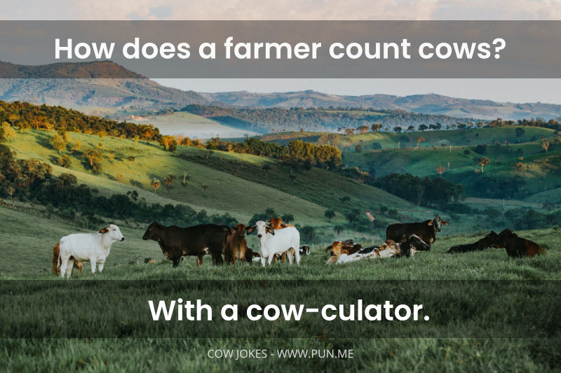 Joke about a farmer counting cows