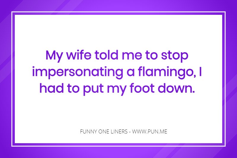 Funny one liner about being a flamingo and my wife.