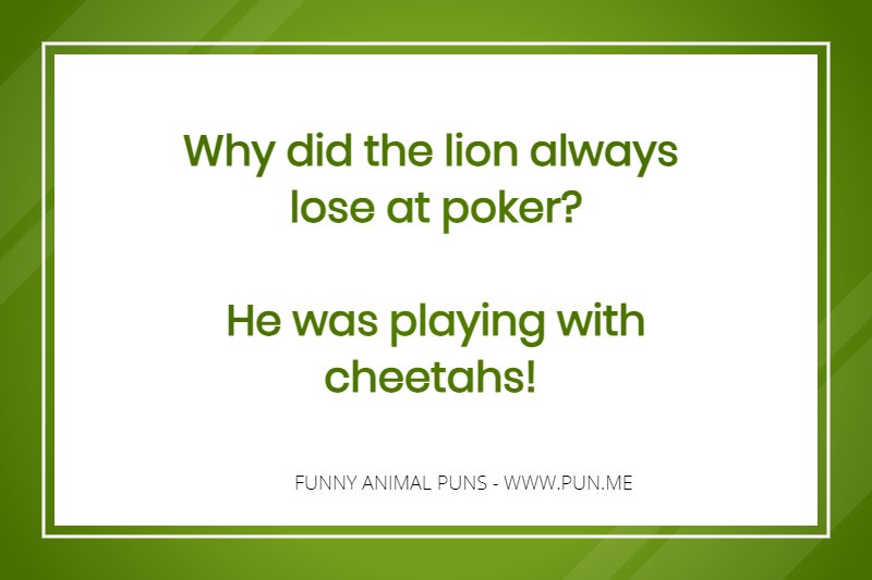 Funny pun about lions and cheetahs playing poker