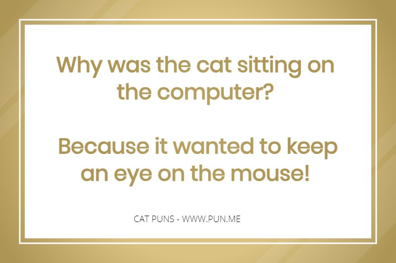 Funny pun about a cat and computer mouse