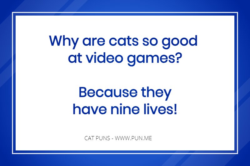 Why are cats so good at video games? Because they have nine lives.
