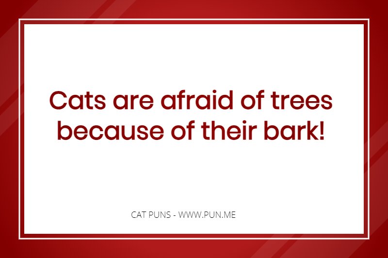 Pun about cats being afraid of trees.