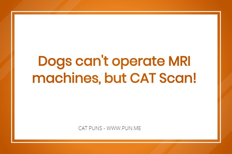 Funny pun about mri machines and cat scan