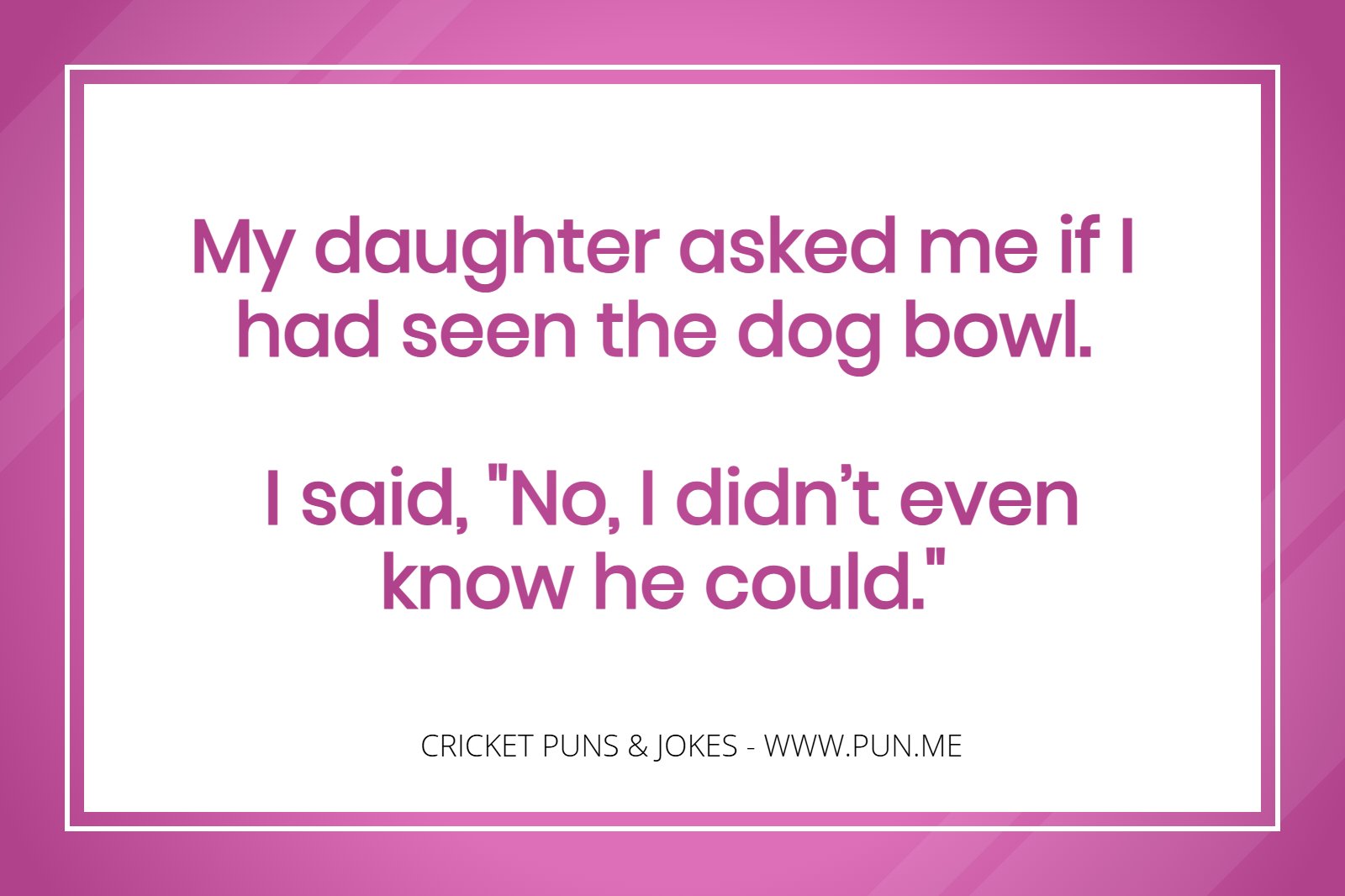 Funny Joke about dogs playing cricket