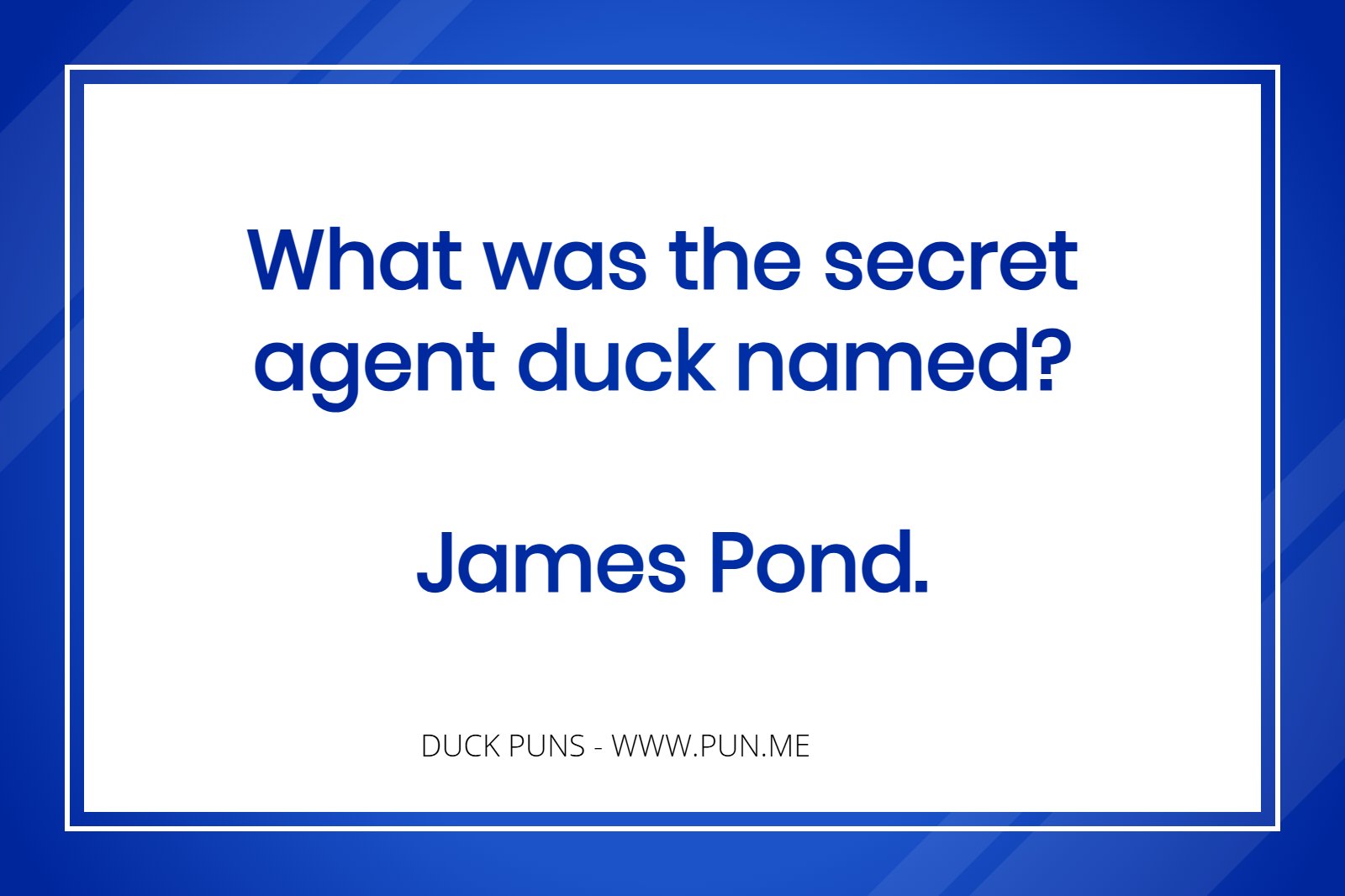Duck joke - What was the secret agent duck named? James Pond.