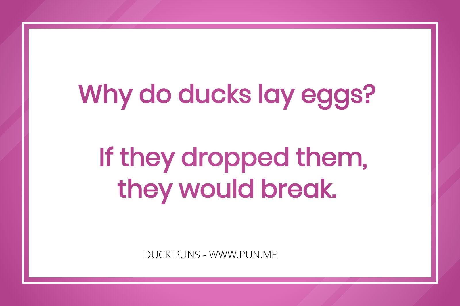 Why do ducks lay eggs? If they dropped them, they would break.