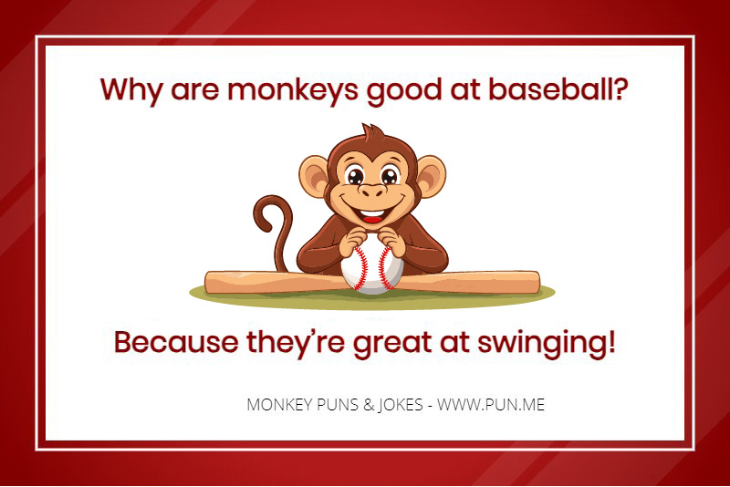 Monkey pun - Why are monkeys good at baseball? Because they’re great at swinging!