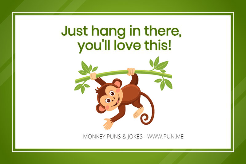 Monkey pun - Just hang in there, you'll love this!