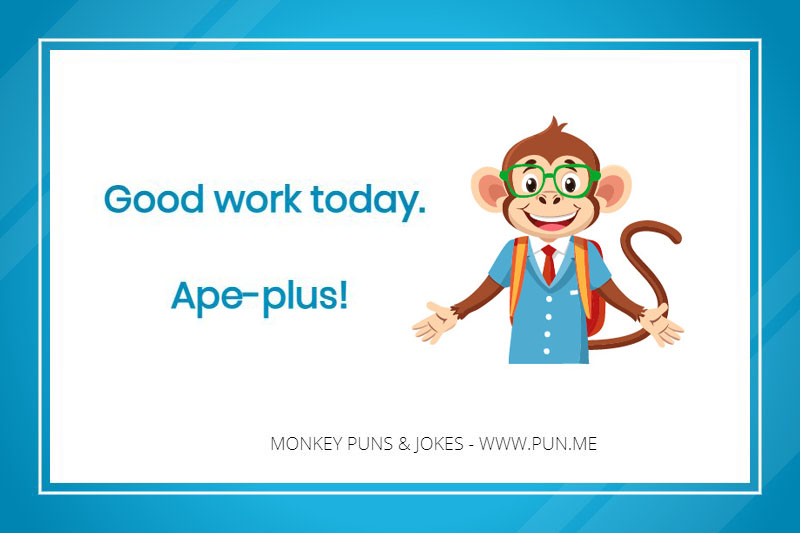 Monkey pun - Good work today. Ape-plus!