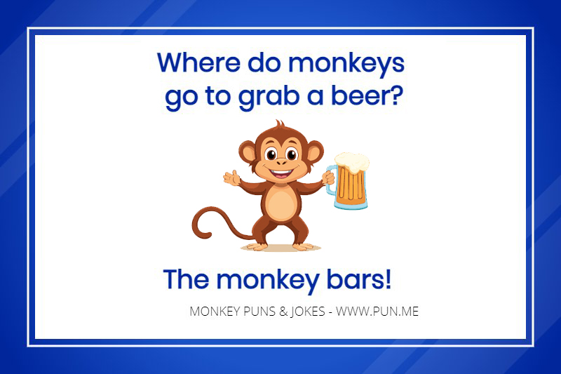 Monkey pun - Where do monkeys go to grab a beer? The monkey bars!