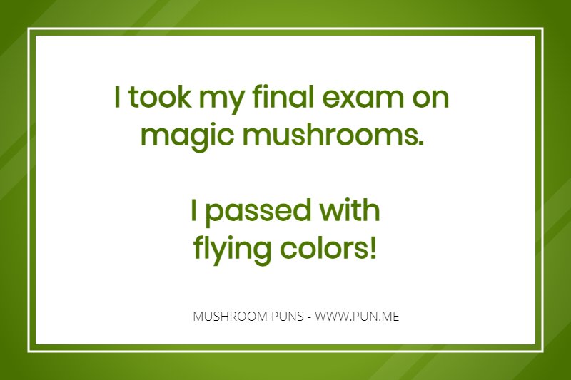 I took my final exam on magic mushrooms. I passed with flying colors!