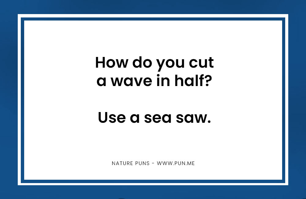 nature pun about a wave