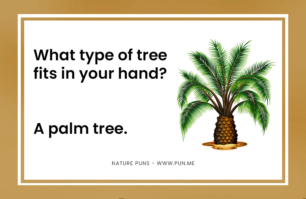 nature pun about a palm tree