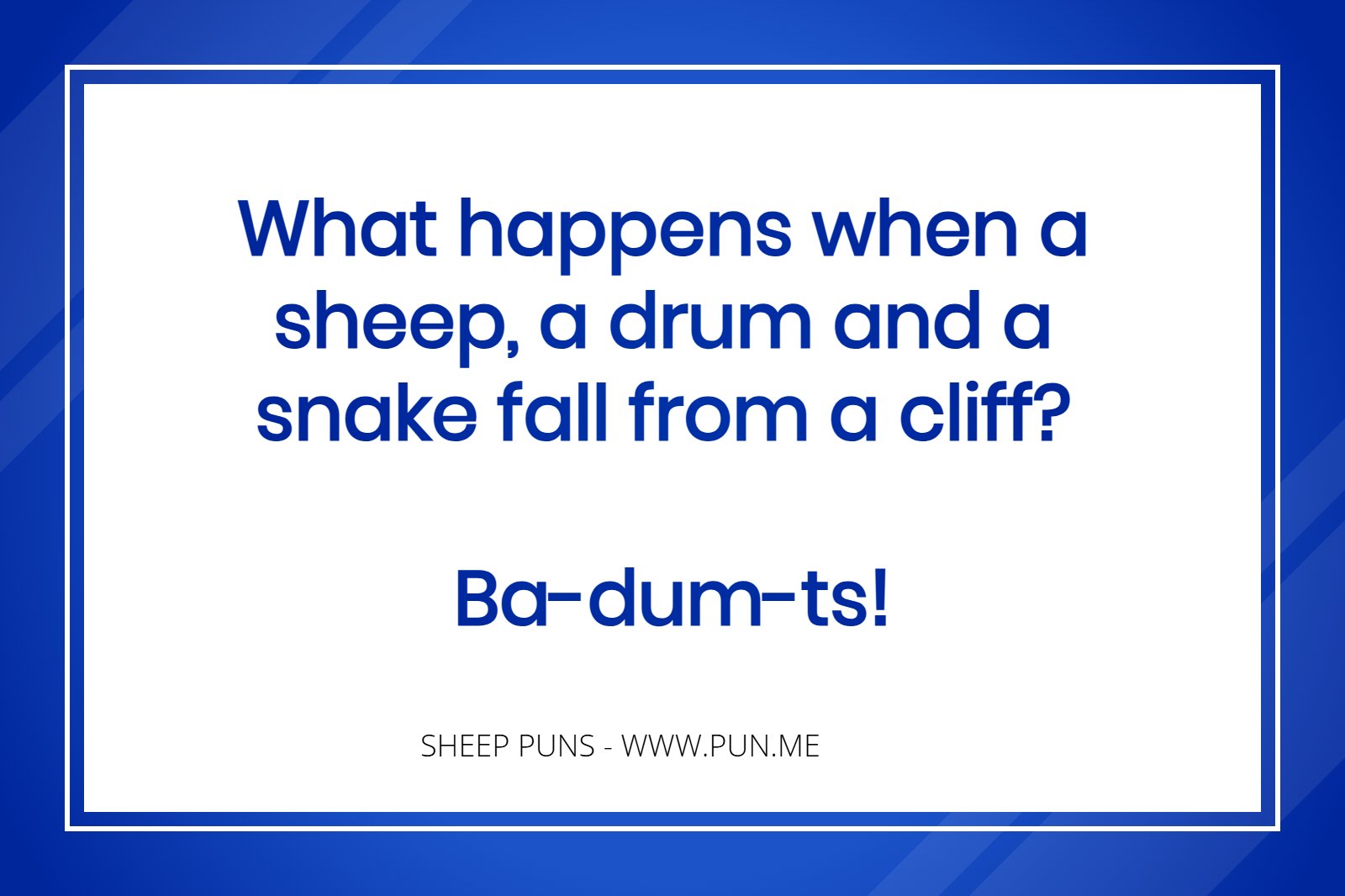 funny sheep pun about a sheep a drum and a snake.