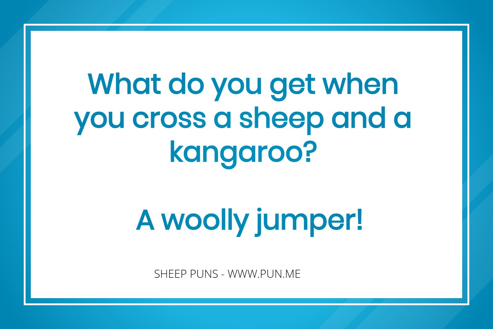 funny pun about a sheep and a kangaroo.