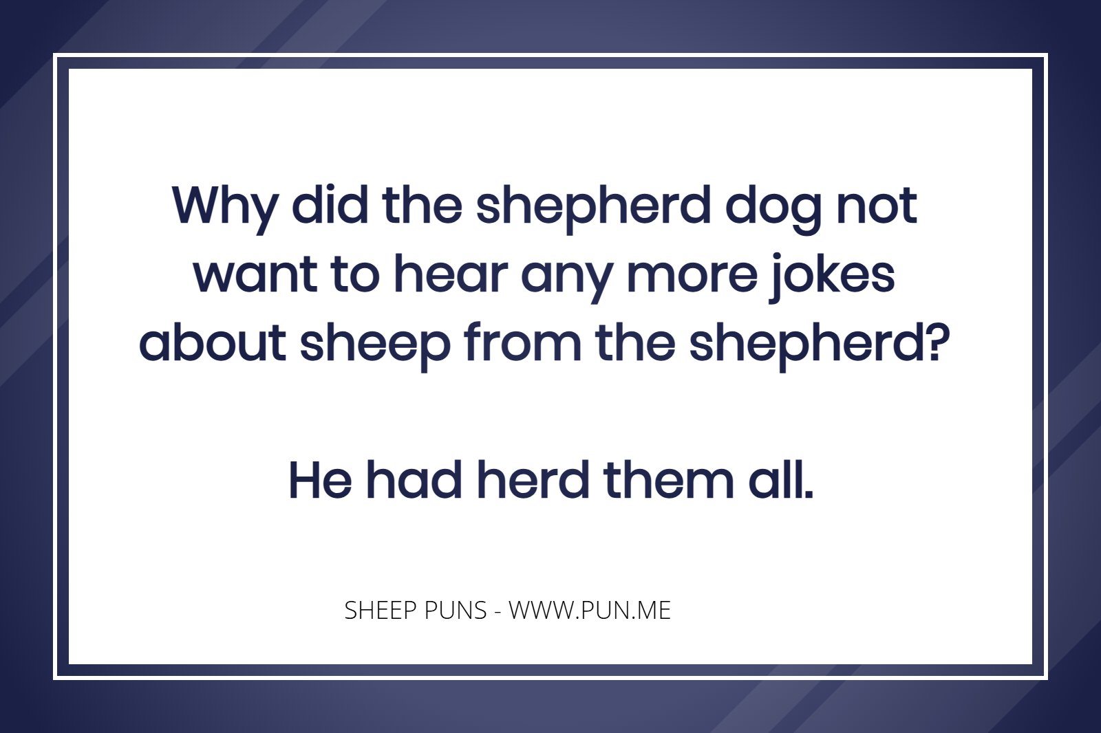 Pun: That is un-baa-lievable