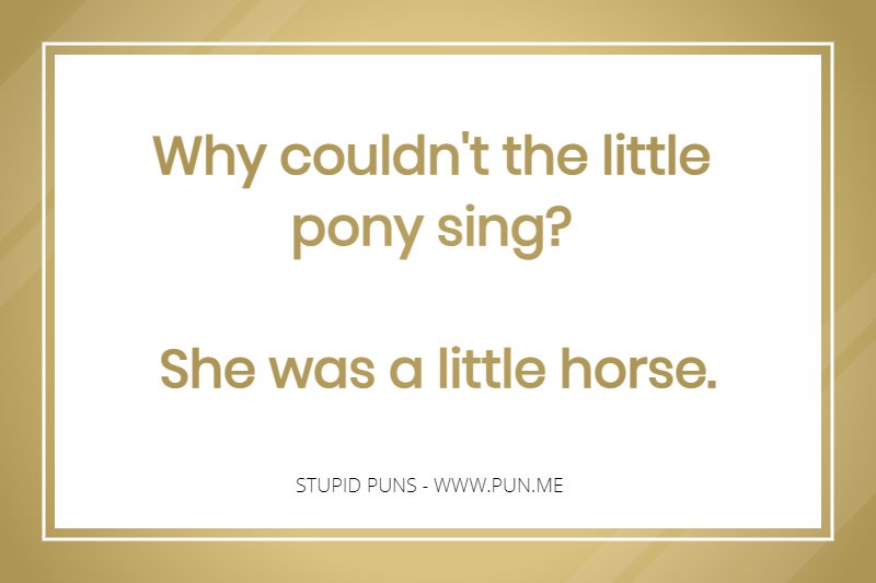 Silly pun about a little horse.