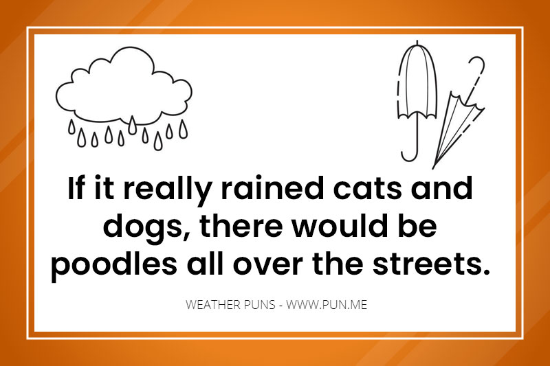 Pun about raining cats and dogs