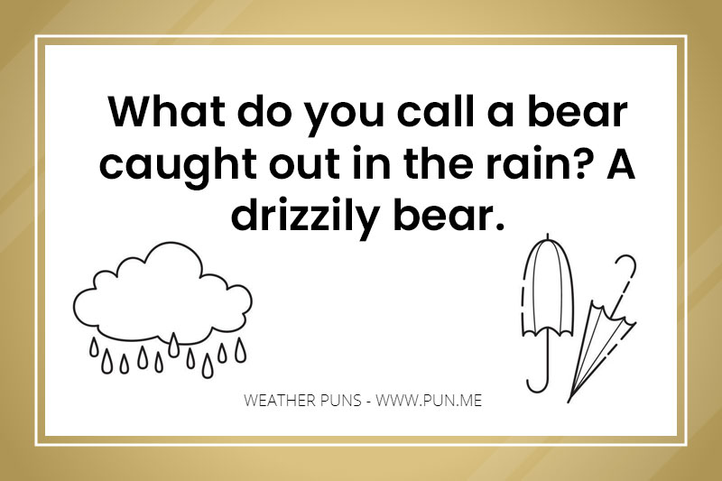 Weather pun about a bear