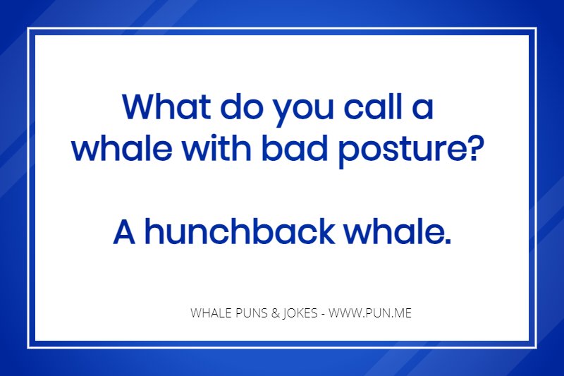 Joke about whales