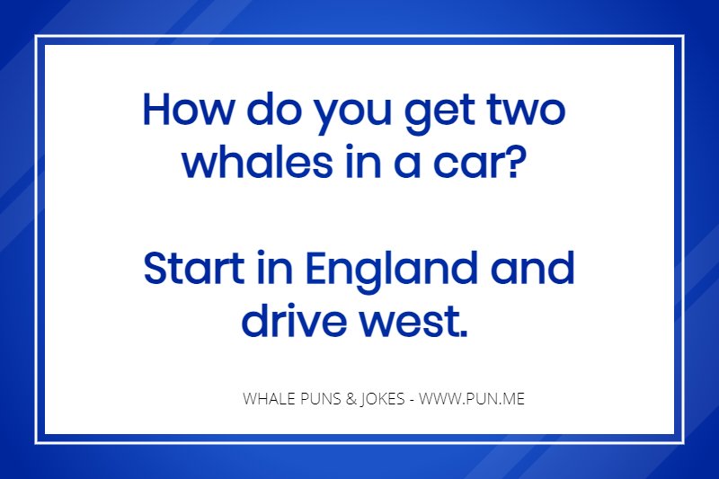 Joke about whales